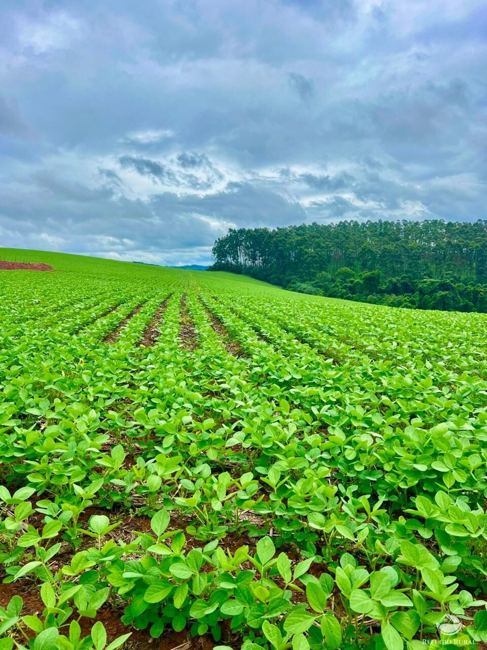 Fazenda à venda com 3 quartos, 5808000m² - Foto 5
