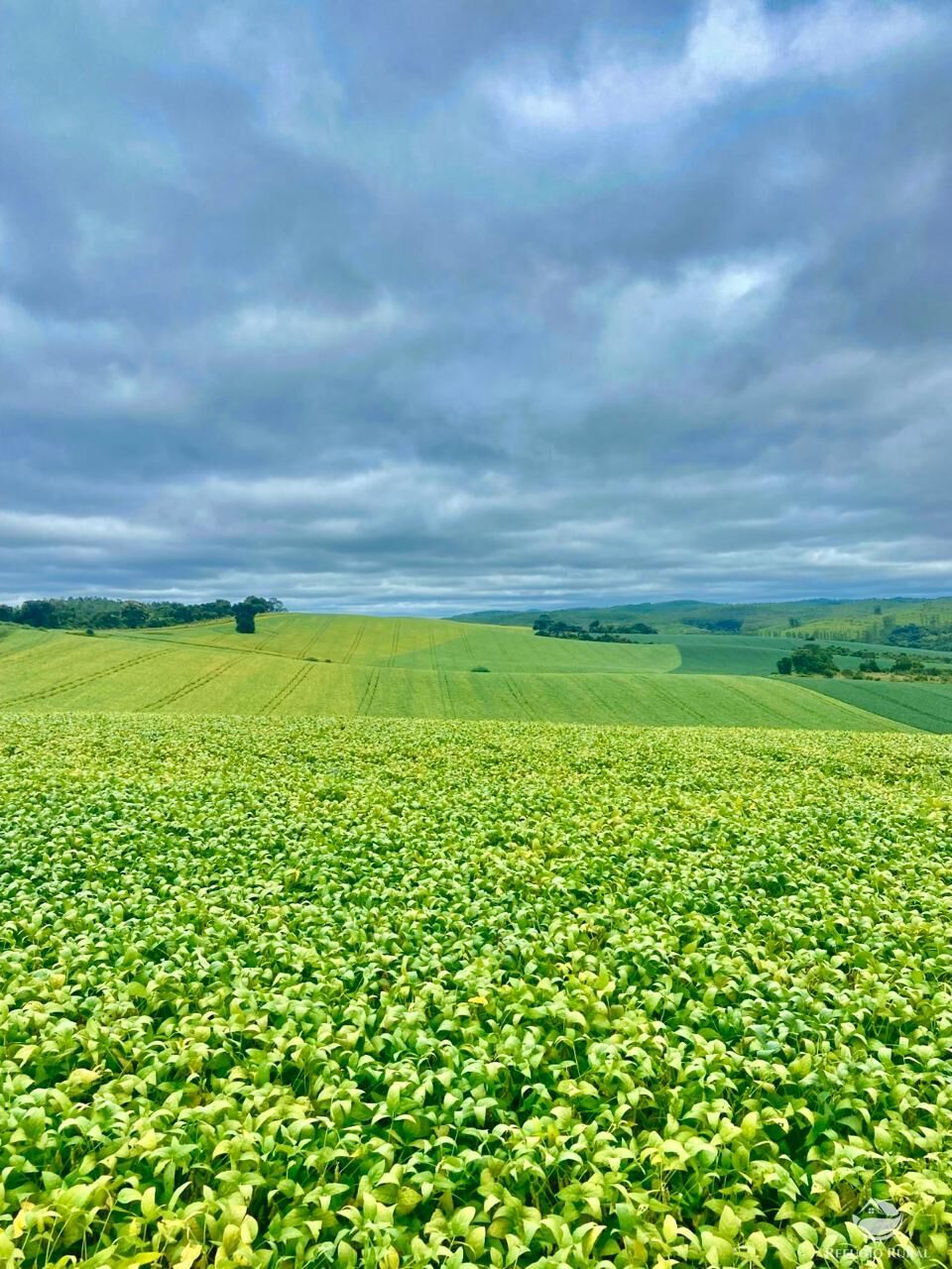 Fazenda à venda com 3 quartos, 5808000m² - Foto 17