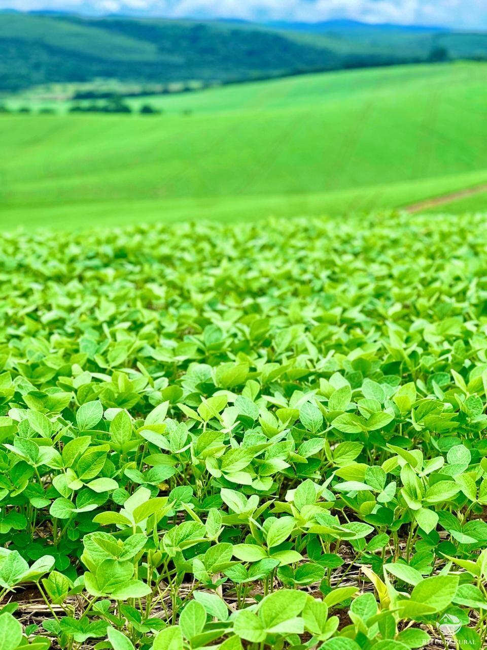 Fazenda à venda com 3 quartos, 5808000m² - Foto 10
