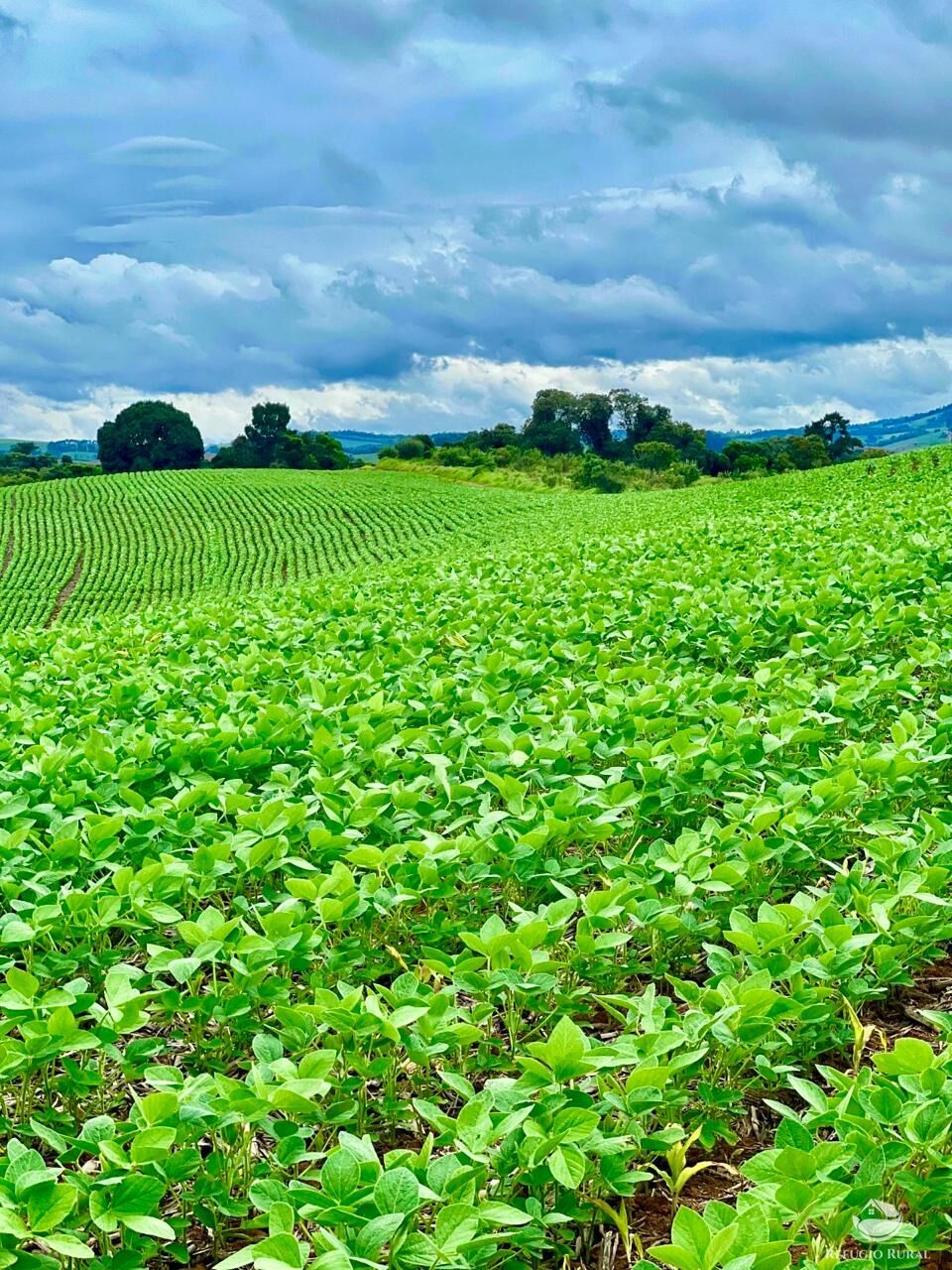 Fazenda à venda com 3 quartos, 5808000m² - Foto 2