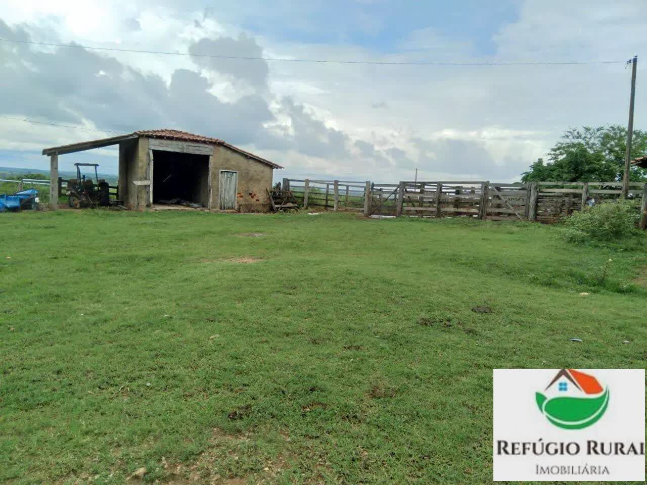 Fazenda à venda com 2 quartos, 21973600m² - Foto 6