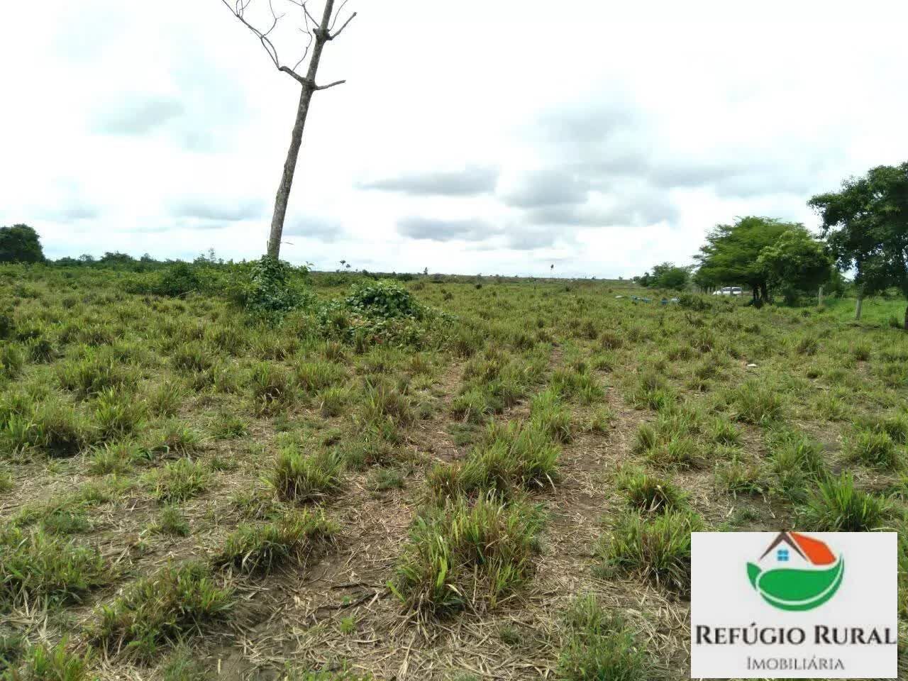 Fazenda à venda com 2 quartos, 21973600m² - Foto 4