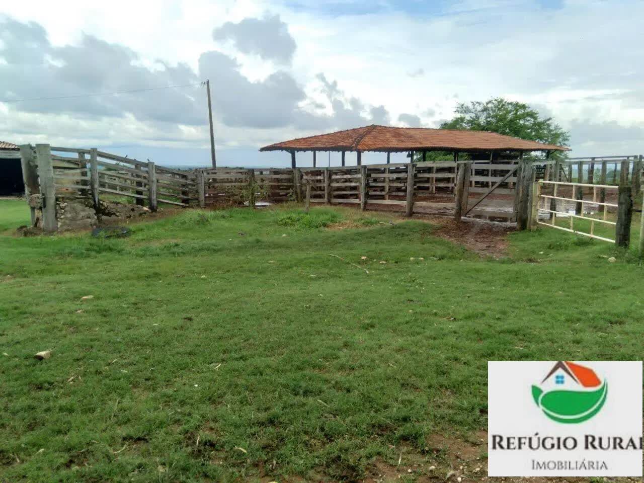 Fazenda à venda com 2 quartos, 21973600m² - Foto 5