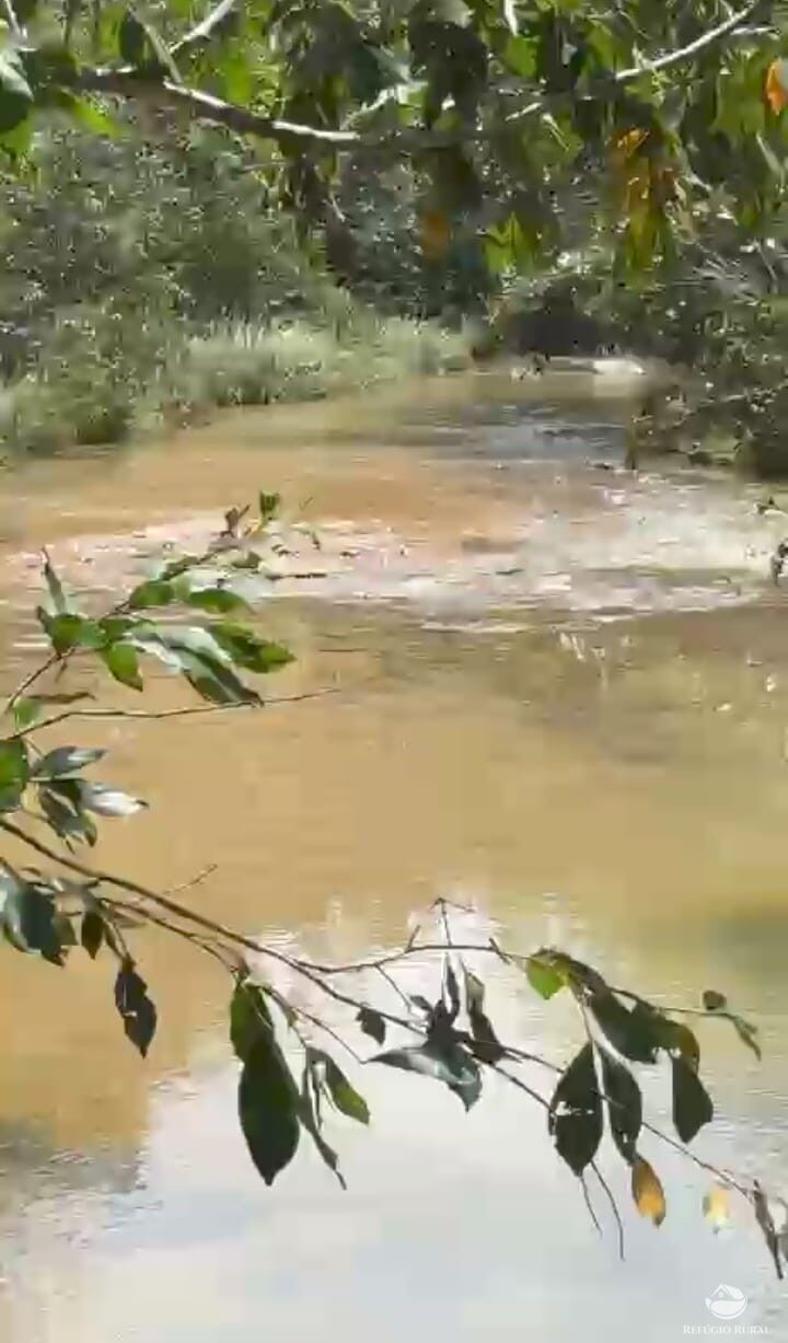 Fazenda, 1174 hectares - Foto 2