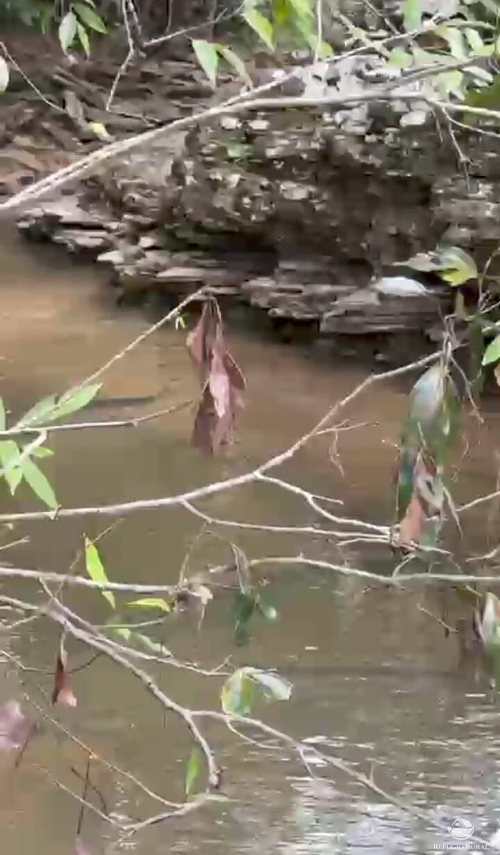 Fazenda, 1174 hectares - Foto 3