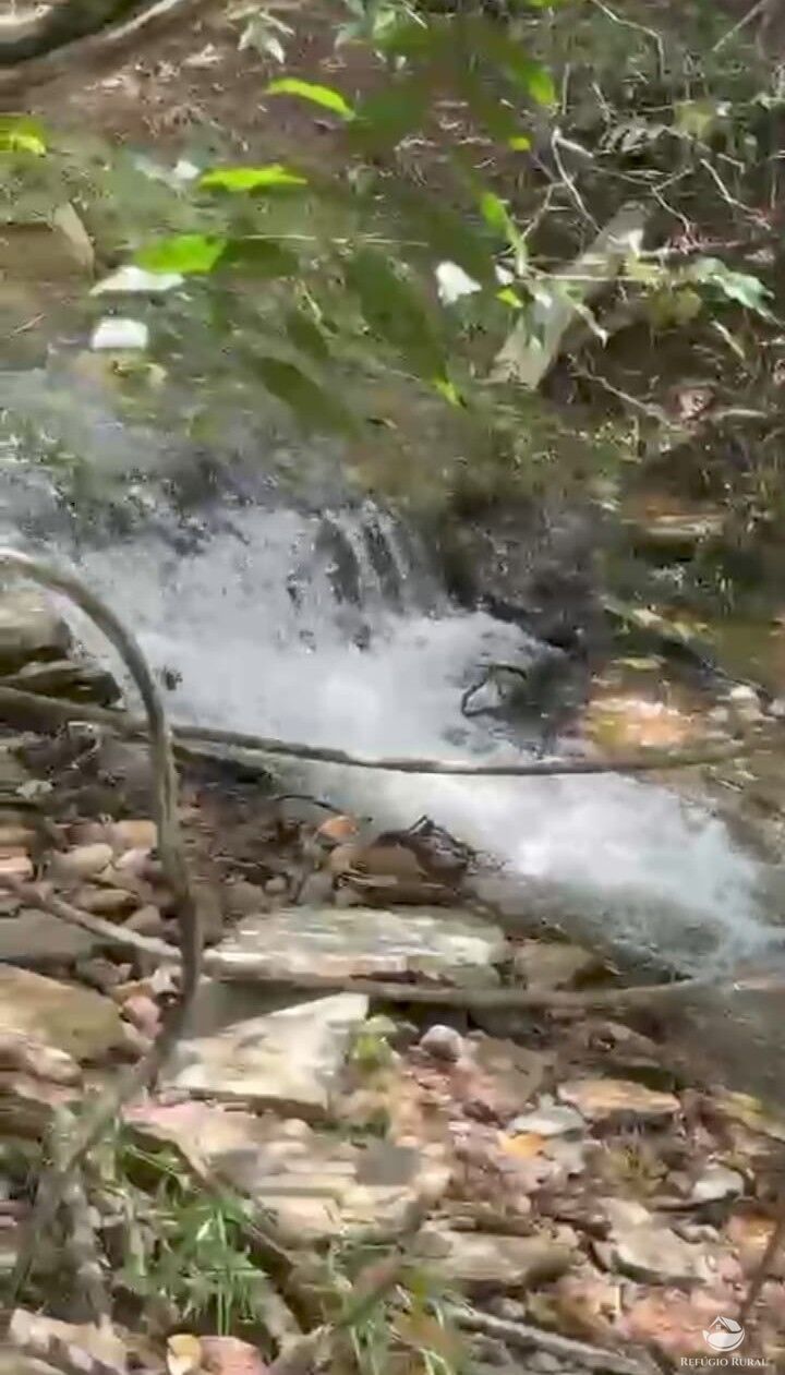 Fazenda, 1174 hectares - Foto 1