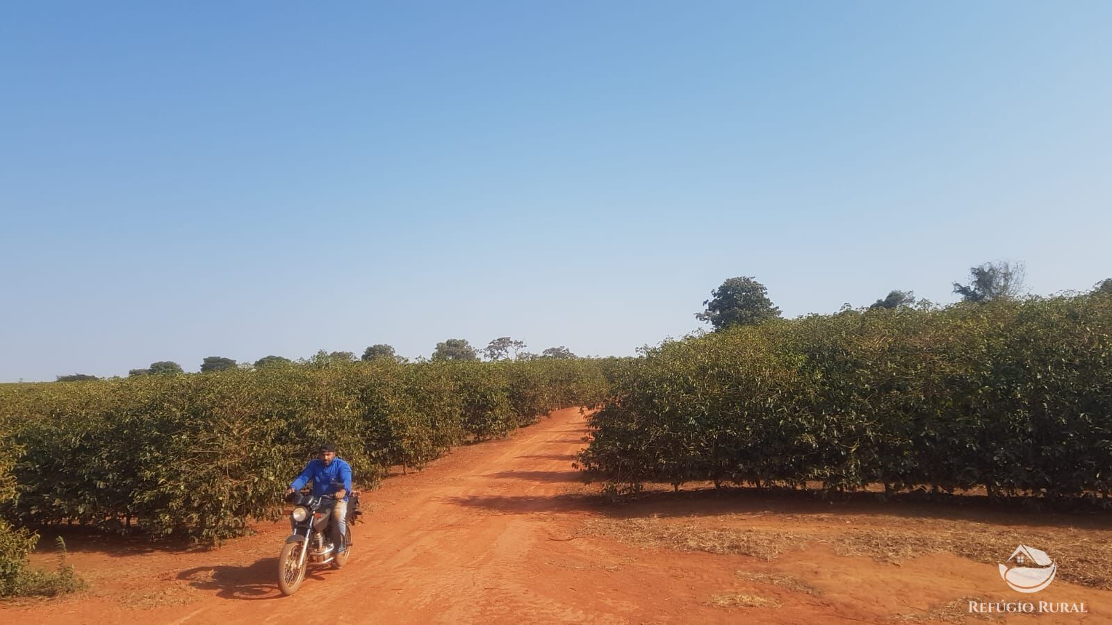 Fazenda à venda com 2 quartos, 1500000m² - Foto 6