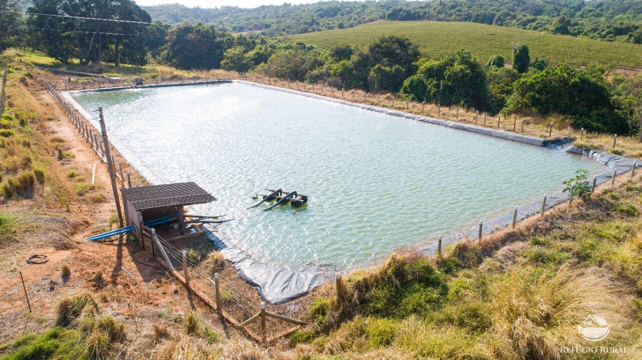 Fazenda à venda com 2 quartos, 1500000m² - Foto 2