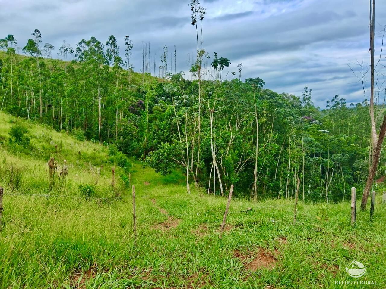 Terreno, 15 hectares - Foto 12