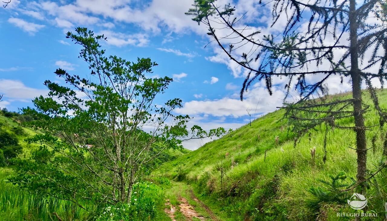 Terreno, 15 hectares - Foto 13