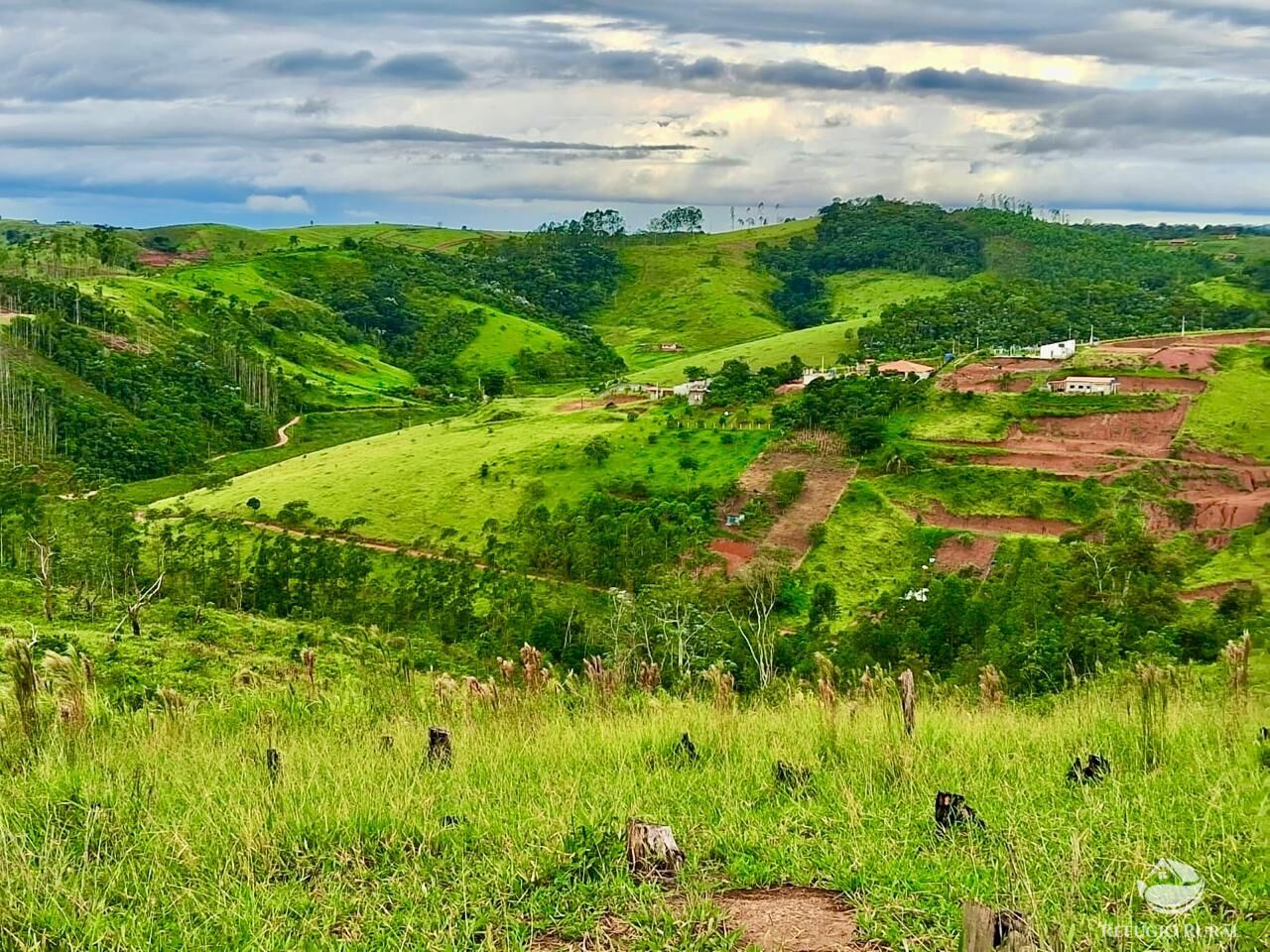 Terreno, 15 hectares - Foto 3
