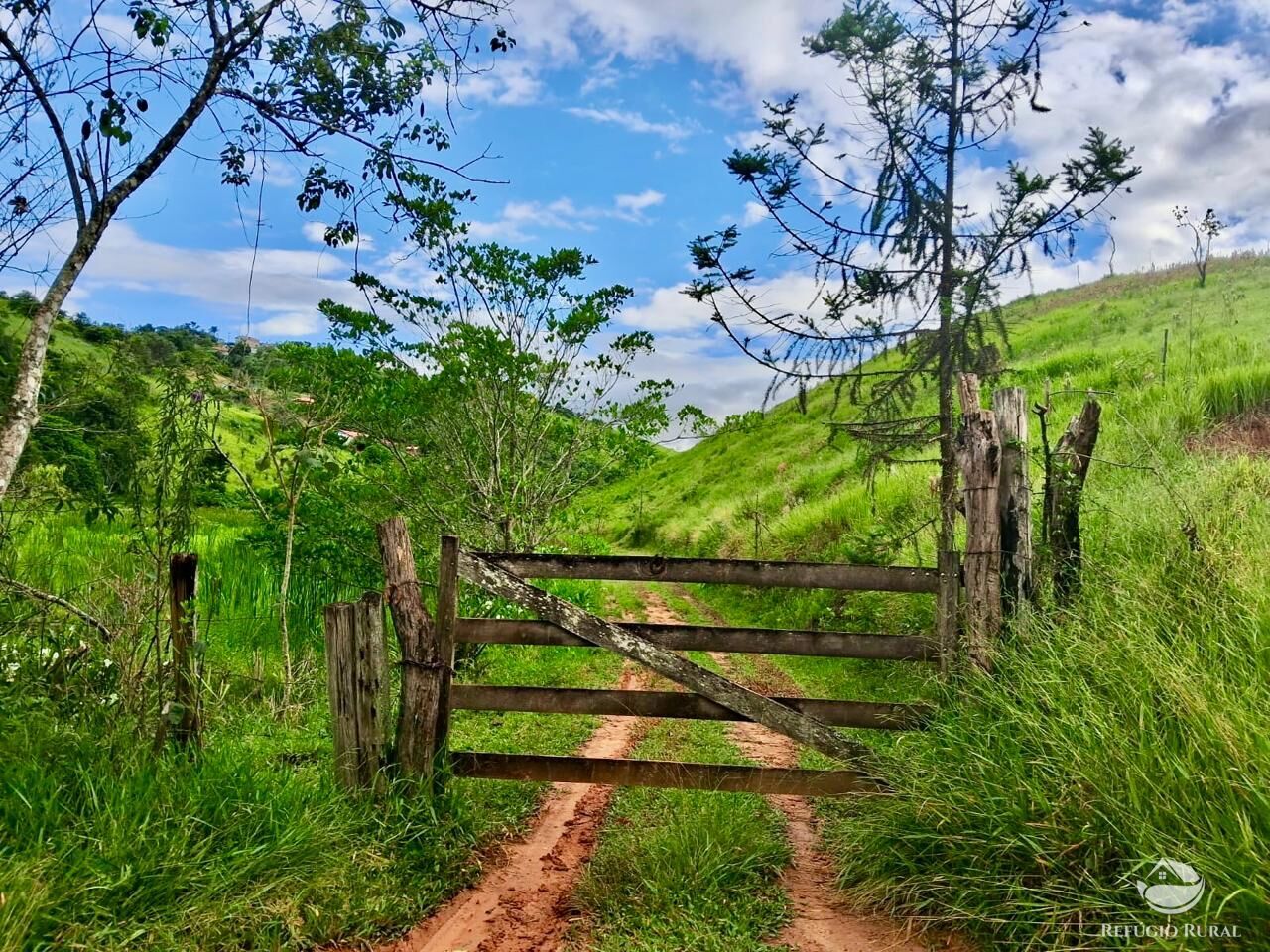 Terreno, 15 hectares - Foto 2