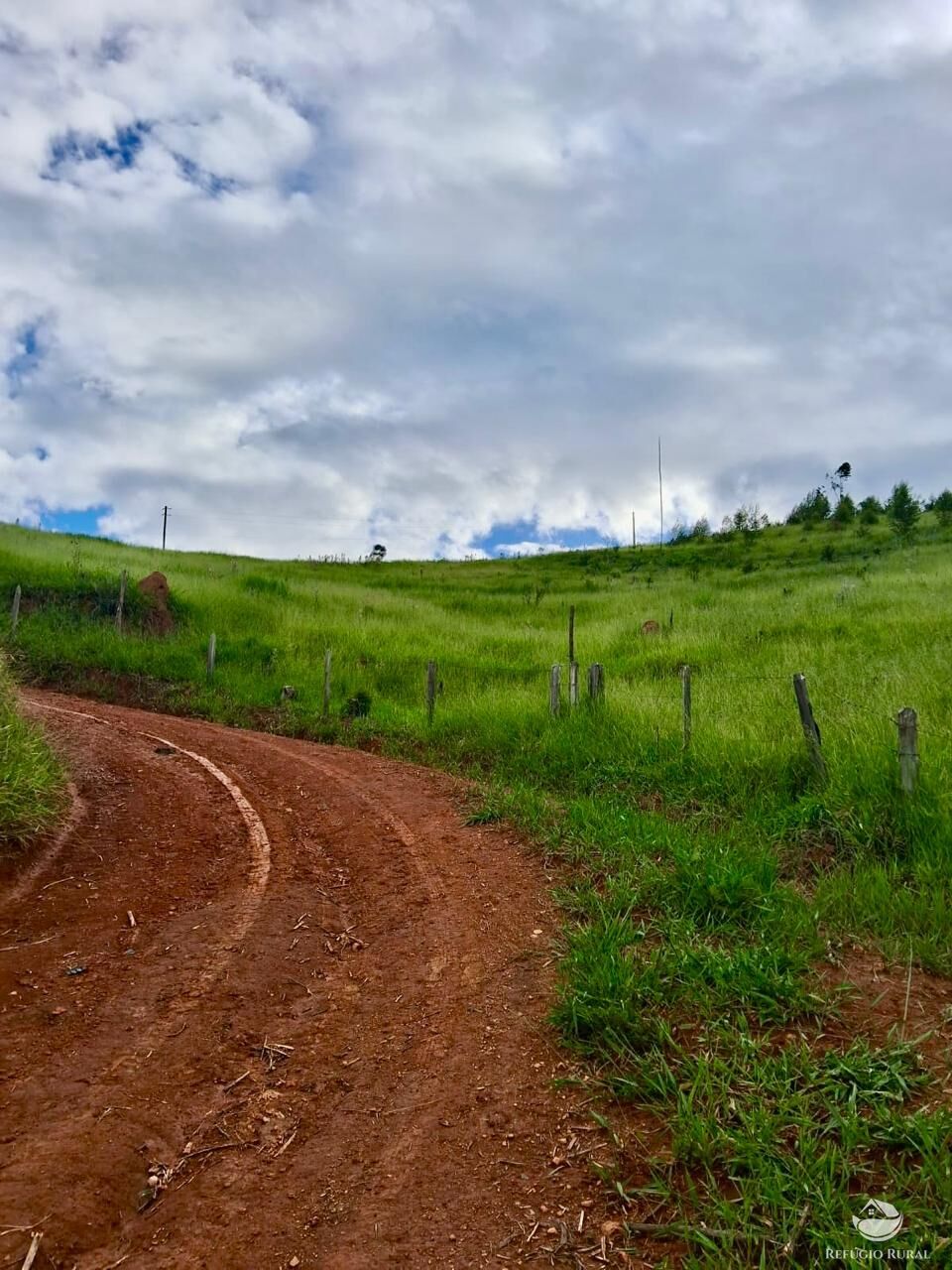 Terreno, 15 hectares - Foto 7