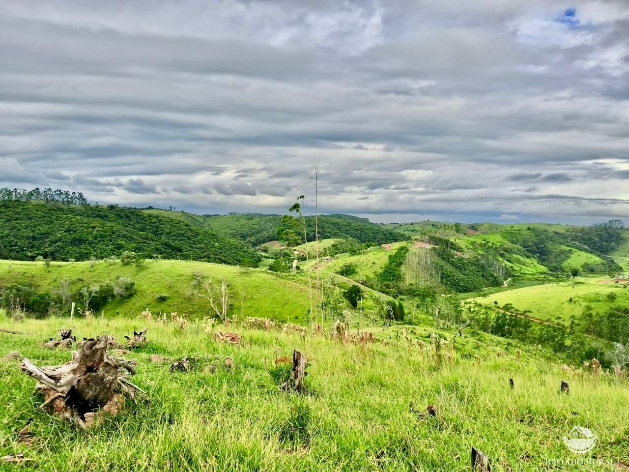 Terreno, 15 hectares - Foto 6