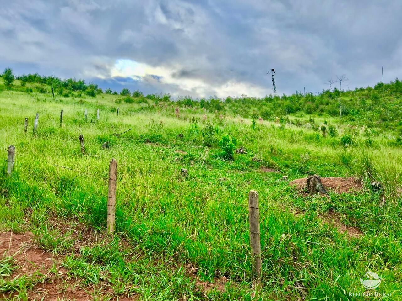 Terreno, 15 hectares - Foto 11