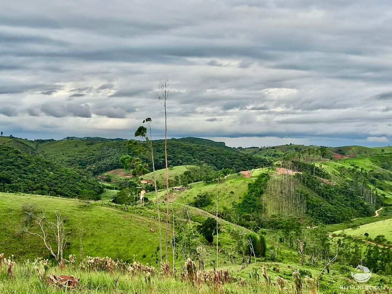 Terreno, 15 hectares - Foto 5