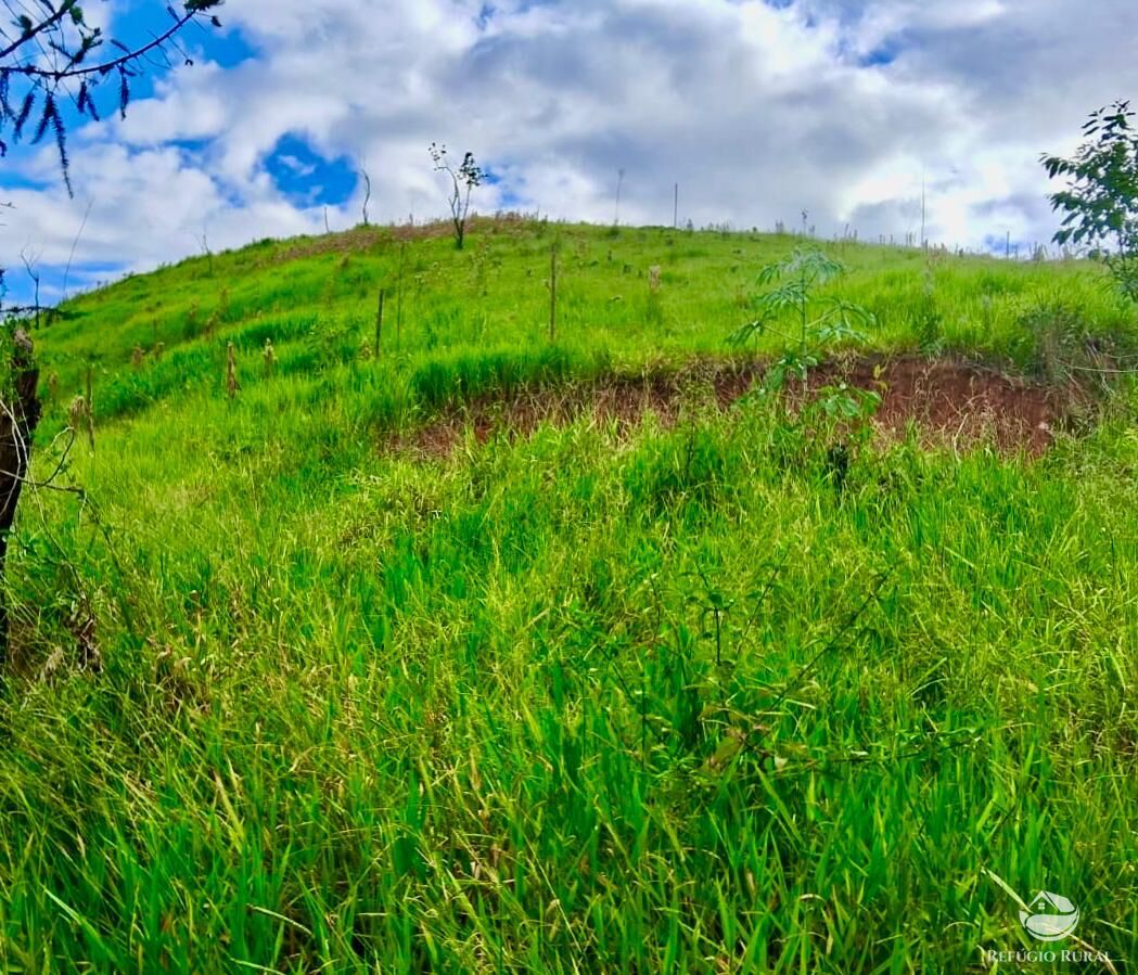 Terreno, 15 hectares - Foto 1