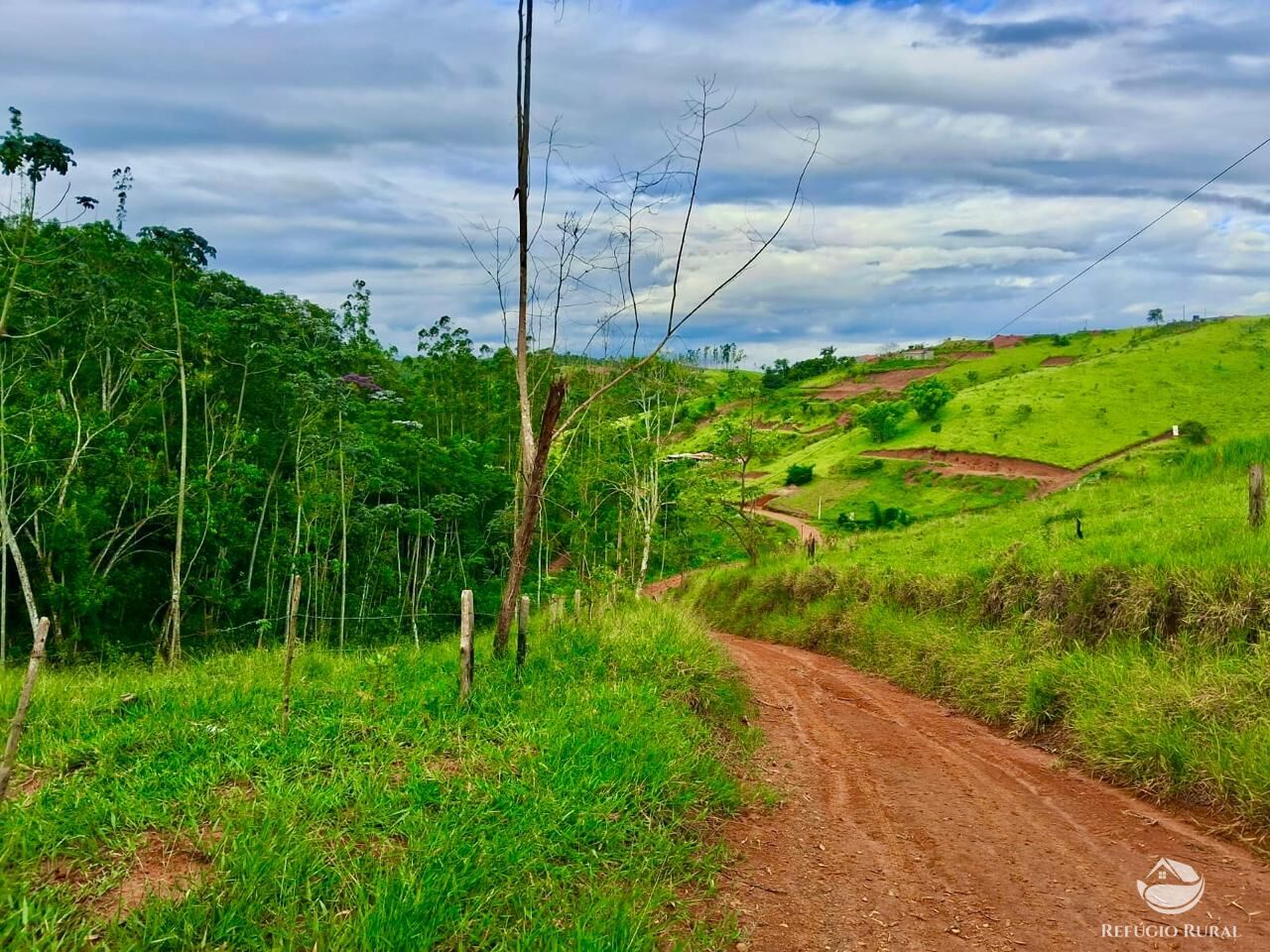 Terreno, 15 hectares - Foto 10