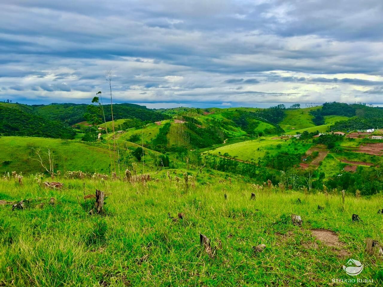 Terreno, 15 hectares - Foto 8