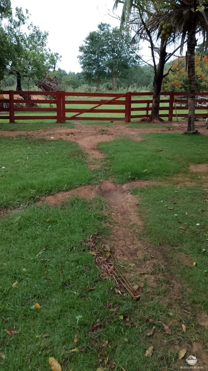 Fazenda, 271 hectares - Foto 5