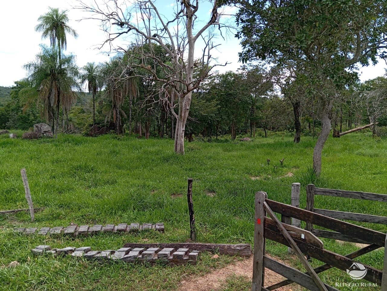 Fazenda, 271 hectares - Foto 6