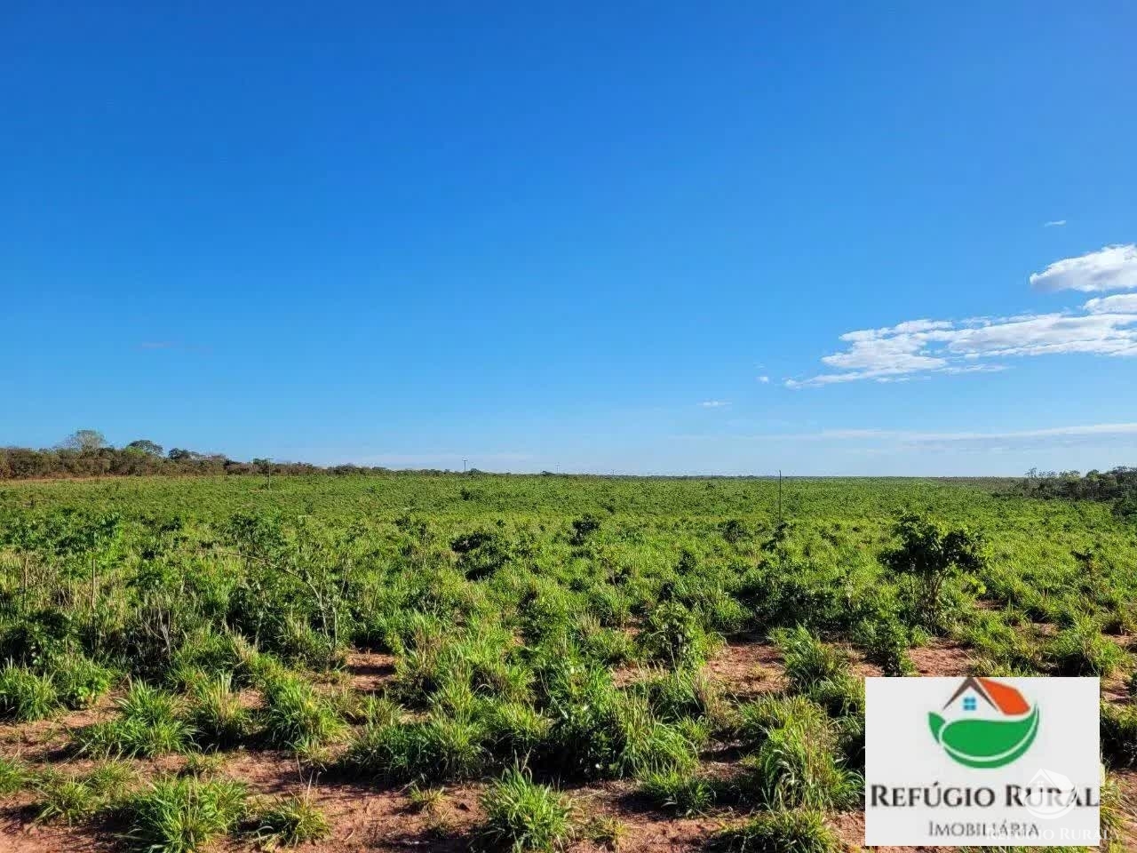 Fazenda à venda com 1 quarto, 37268000m² - Foto 6