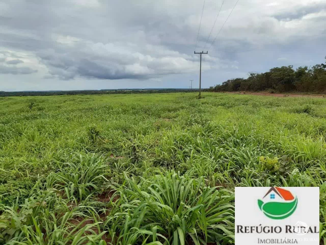 Fazenda à venda com 1 quarto, 37268000m² - Foto 7