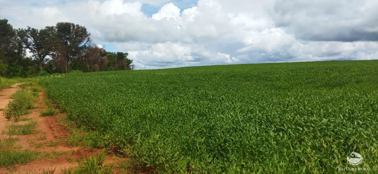 Sítio à venda com 1 quarto, 532400m² - Foto 2