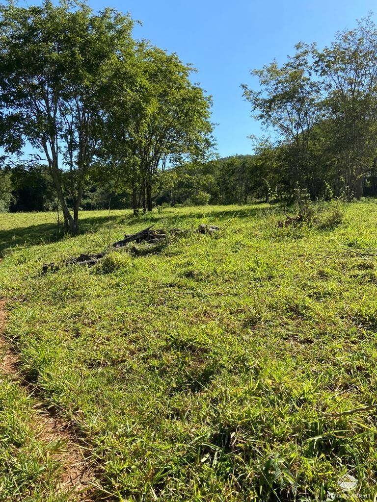 Fazenda à venda com 3 quartos, 2121700m² - Foto 10