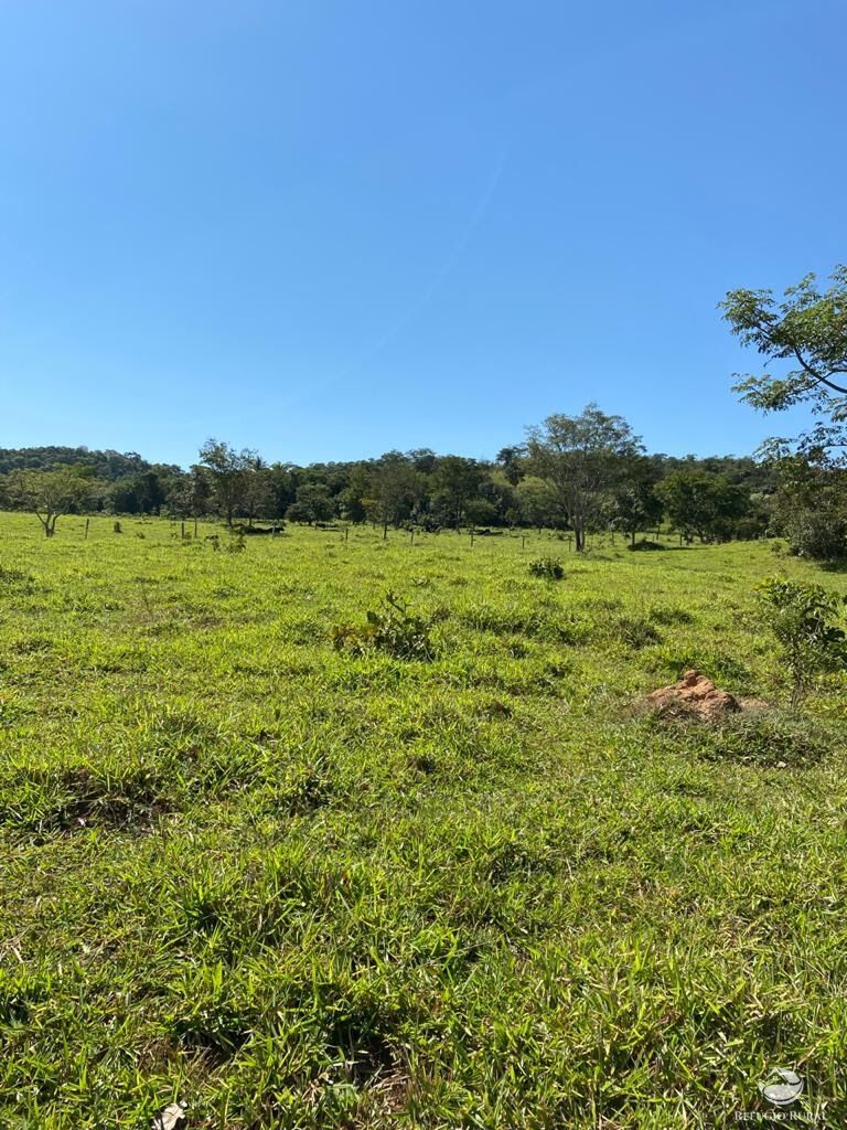 Fazenda à venda com 3 quartos, 2121700m² - Foto 31