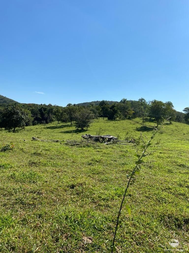 Fazenda à venda com 3 quartos, 2121700m² - Foto 42