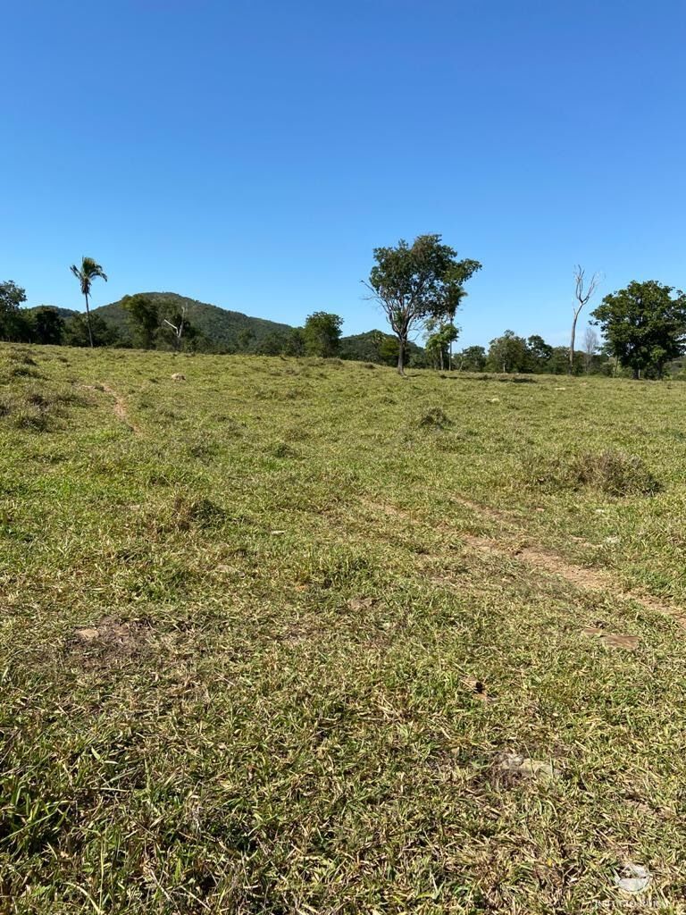 Fazenda à venda com 3 quartos, 2121700m² - Foto 7