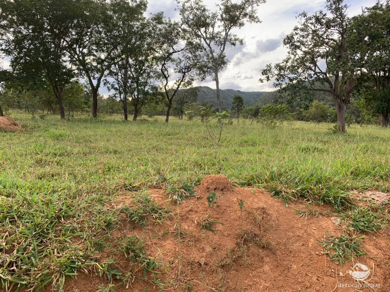 Fazenda à venda com 3 quartos, 2121700m² - Foto 15