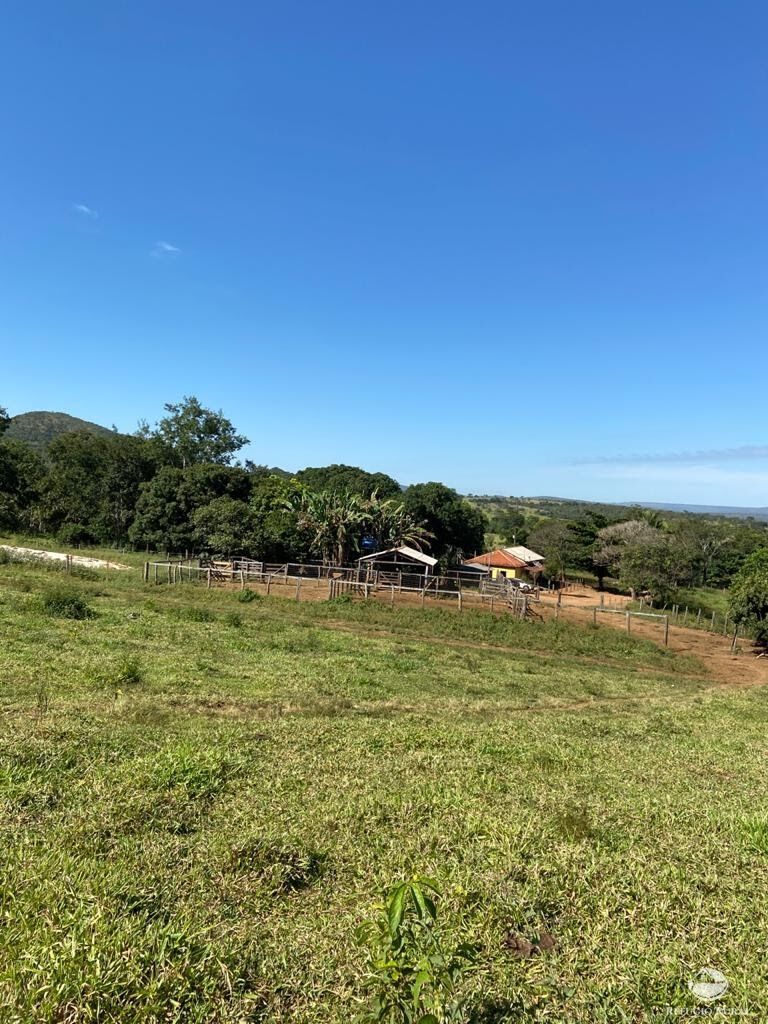 Fazenda à venda com 3 quartos, 2121700m² - Foto 1