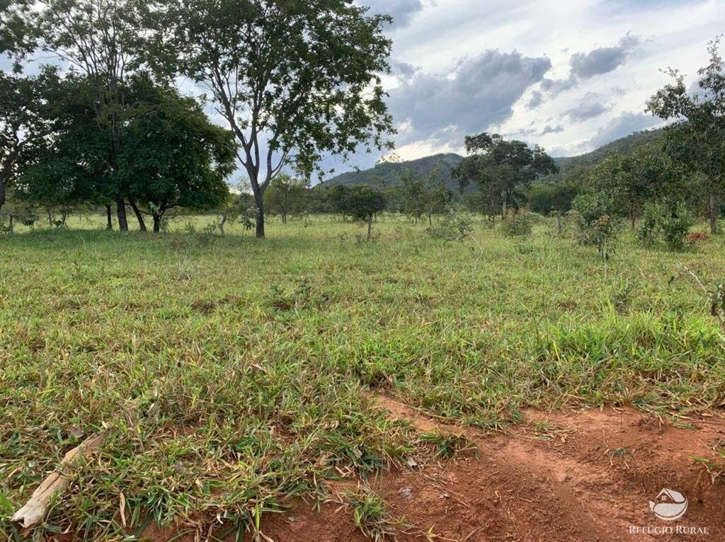 Fazenda à venda com 3 quartos, 2121700m² - Foto 37