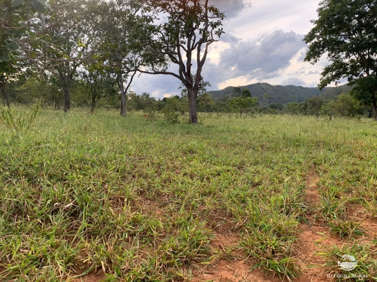 Fazenda à venda com 3 quartos, 2121700m² - Foto 5