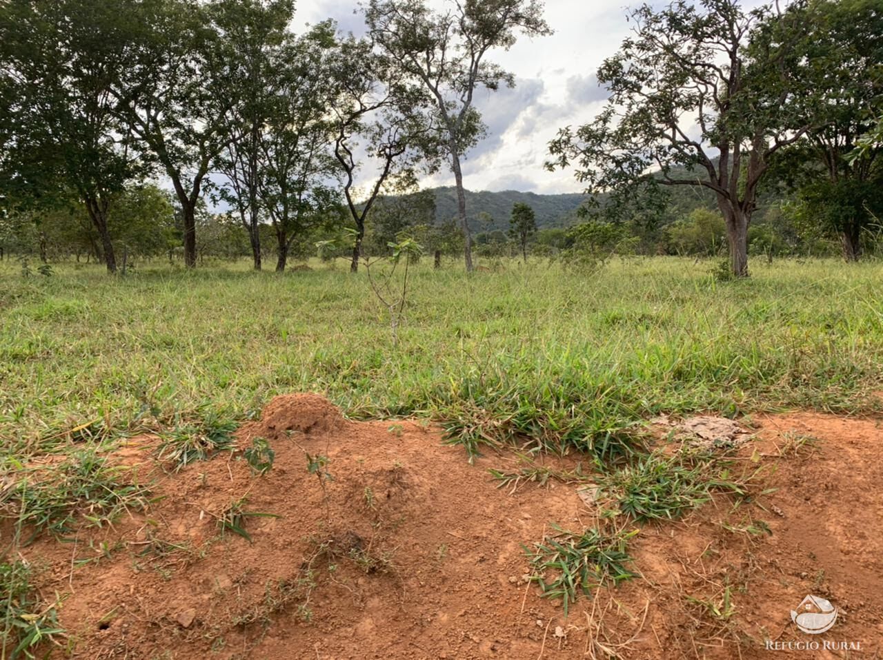 Fazenda à venda com 3 quartos, 2121700m² - Foto 8