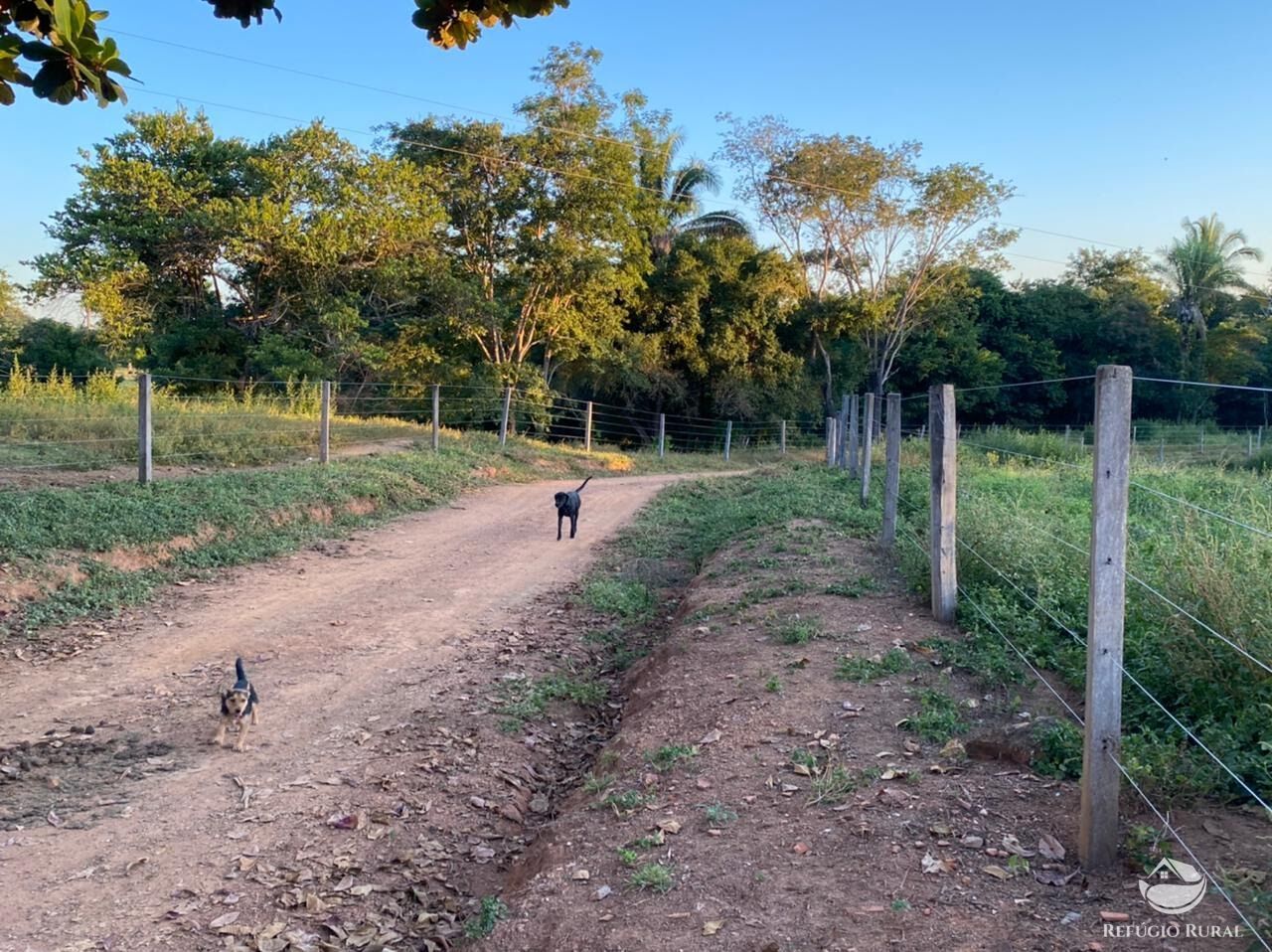 Fazenda à venda com 3 quartos, 2121700m² - Foto 14