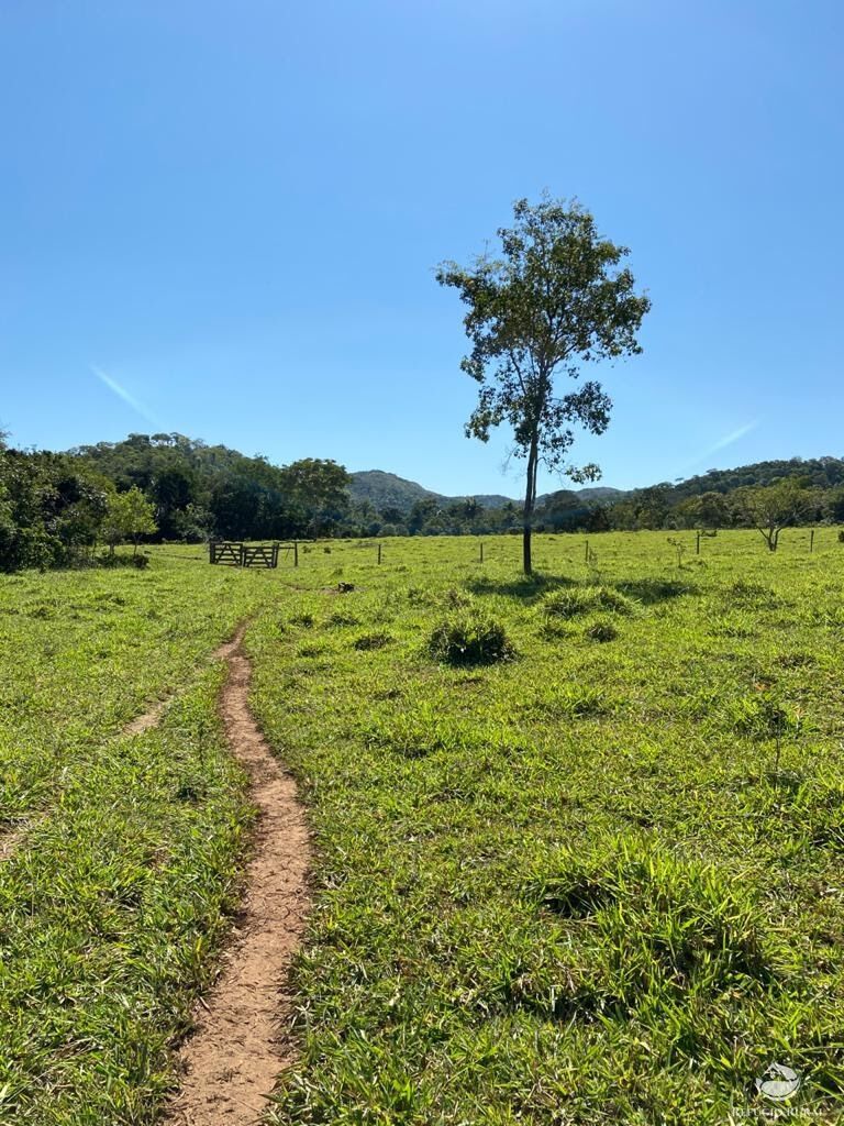 Fazenda à venda com 3 quartos, 2121700m² - Foto 3