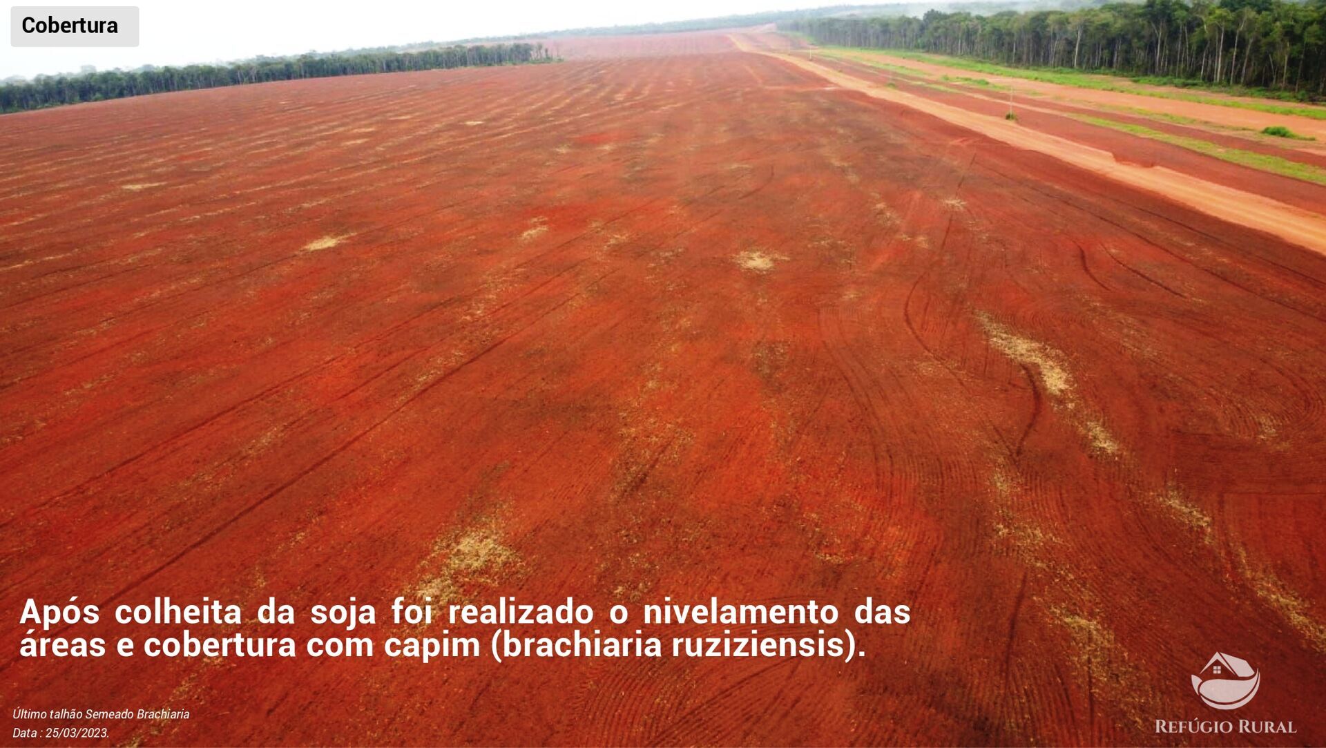 Fazenda à venda com 3 quartos, 64000000m² - Foto 10