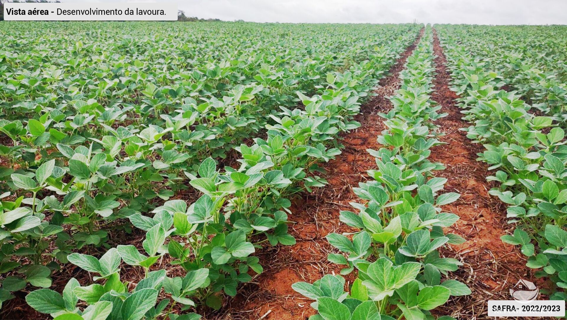 Fazenda à venda com 3 quartos, 64000000m² - Foto 4