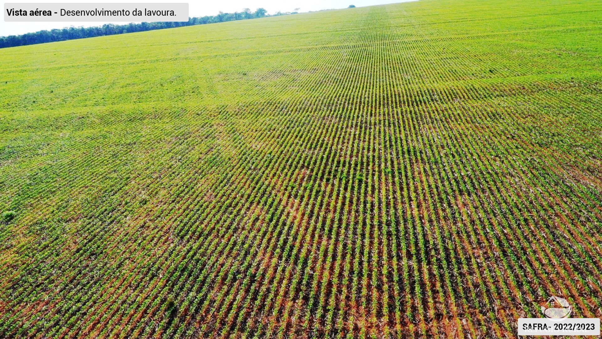 Fazenda à venda com 3 quartos, 64000000m² - Foto 5