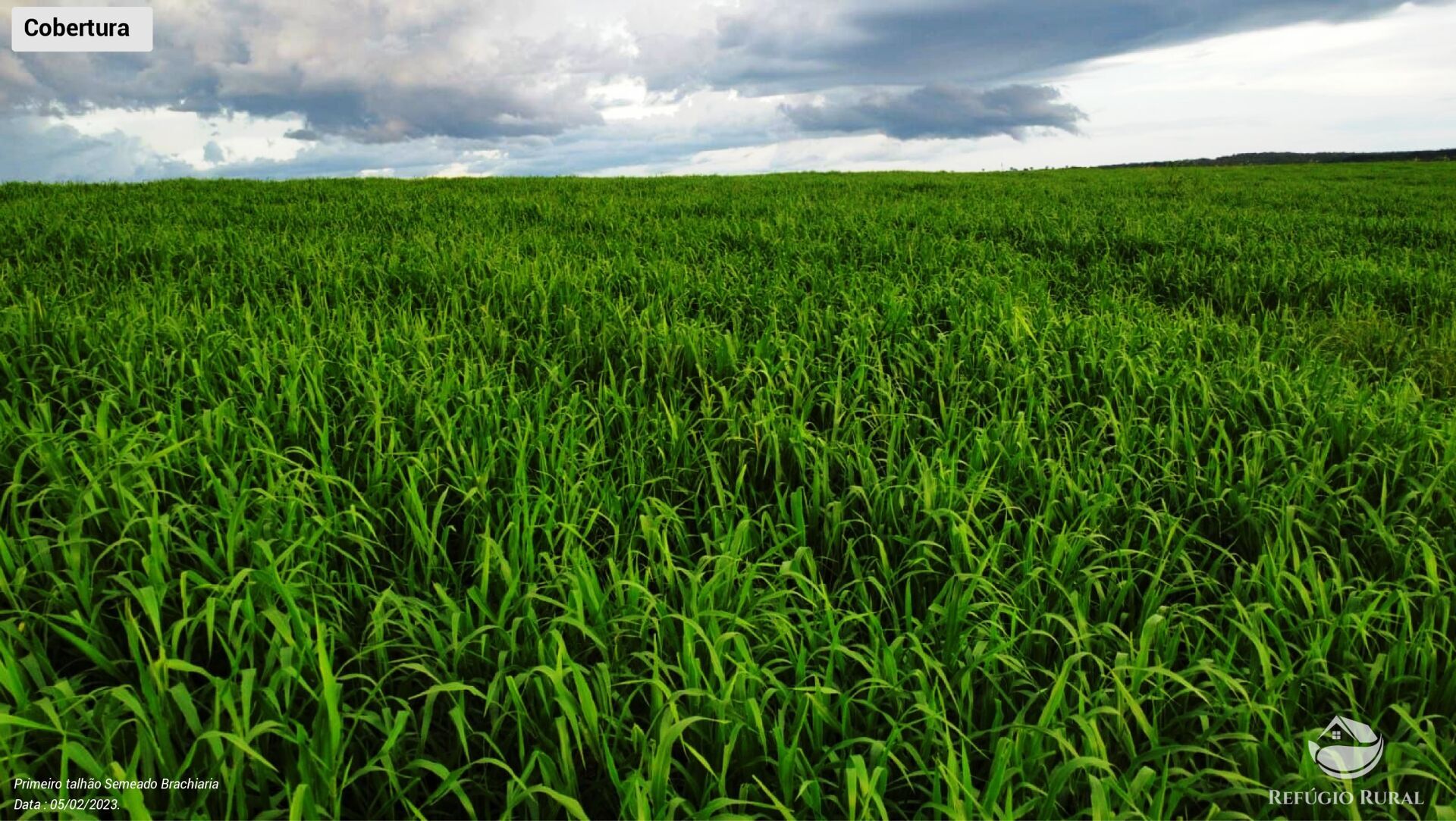 Fazenda à venda com 3 quartos, 64000000m² - Foto 6