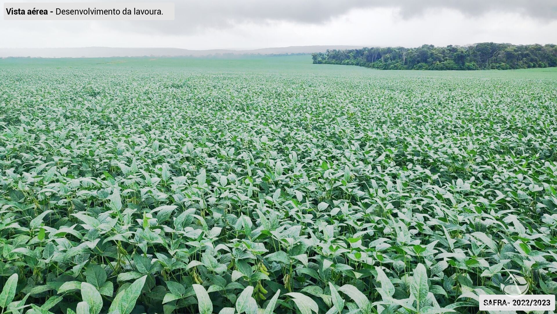 Fazenda à venda com 3 quartos, 64000000m² - Foto 7