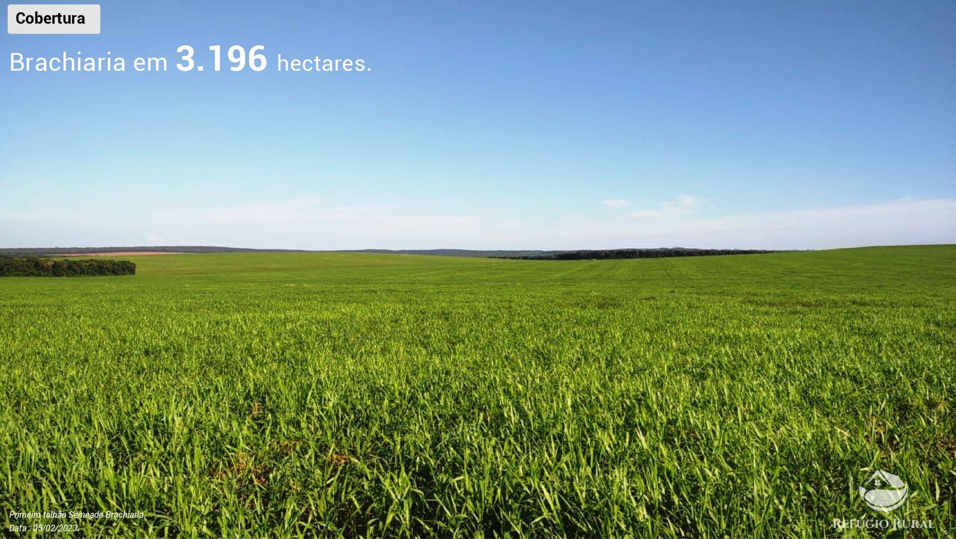 Fazenda à venda com 3 quartos, 64000000m² - Foto 9