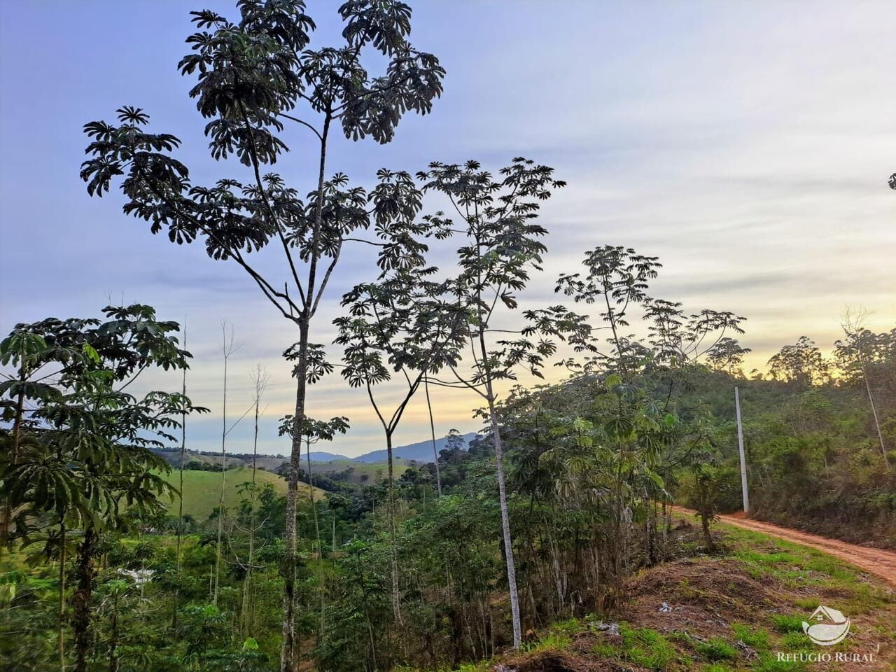 Terreno, 2 hectares - Foto 2