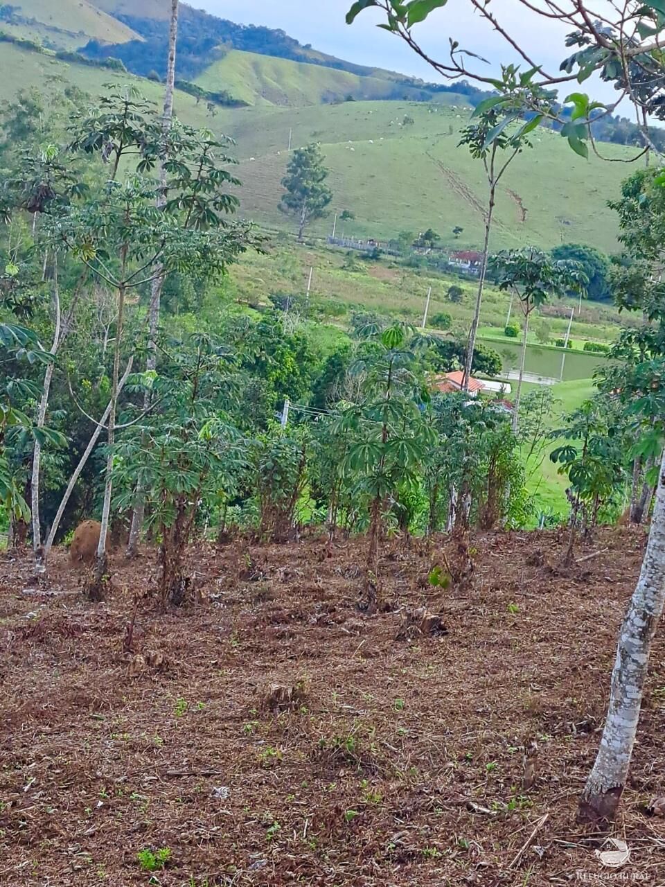 Terreno, 2 hectares - Foto 1