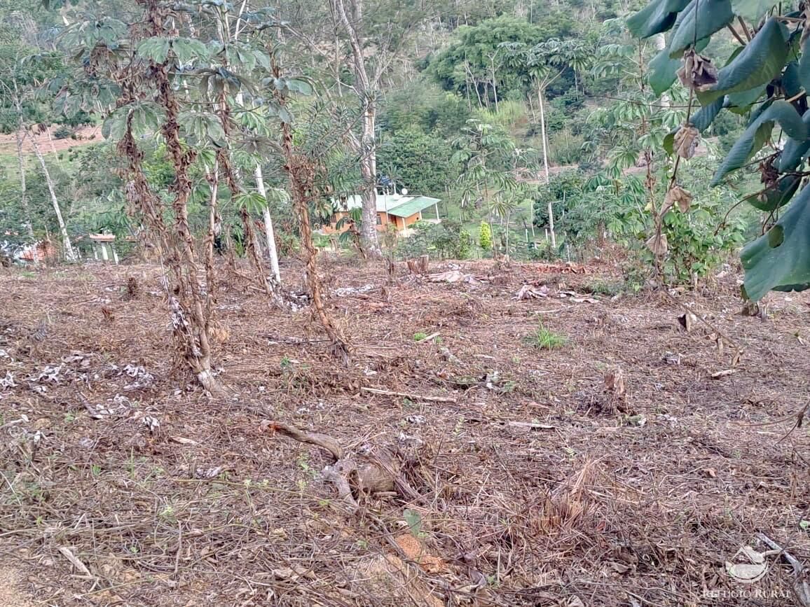 Terreno, 2 hectares - Foto 4