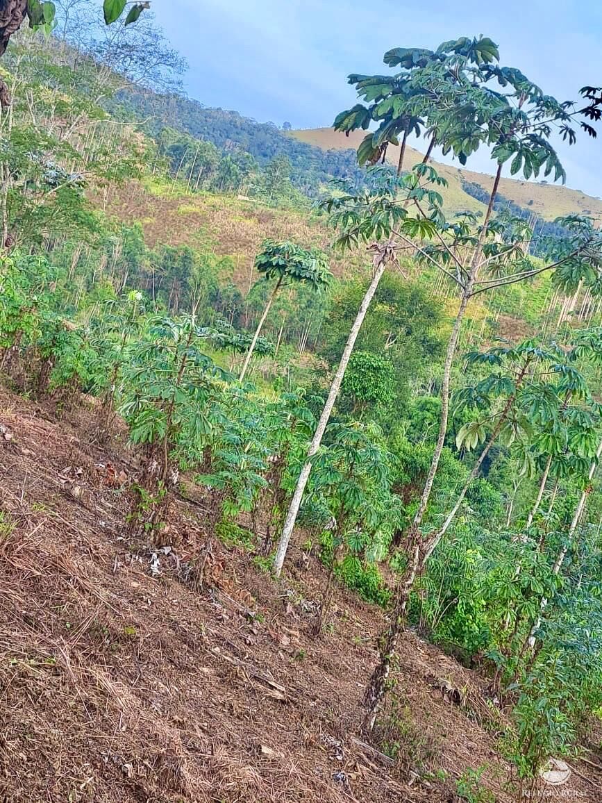 Terreno, 2 hectares - Foto 3