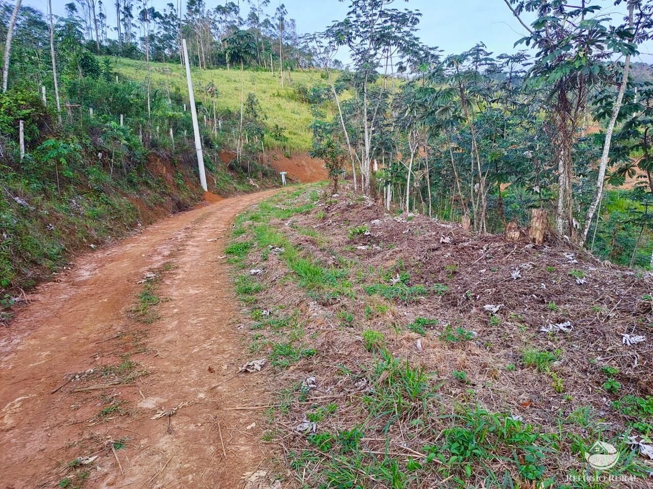 Terreno, 2 hectares - Foto 9